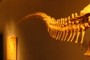 I have a longer tail.haha!