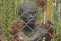 Estatua
