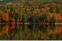fall colors