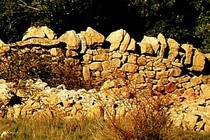 110840-210x140