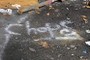 Tagging the floor
