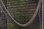 slinky