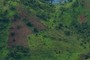 Cleared for Agriculture