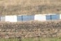 Honey Bee Hives