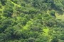 Habitat Diversity