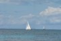Sailboats