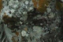 112295-210x140