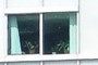 Flowers behind the window