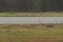 Interstate 45