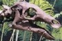 Camptosaurus