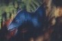Mammal