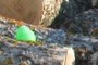 Egg in log pile