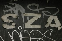 116061-210x140