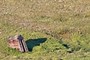Little house on the prairie