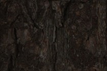 113786-210x140
