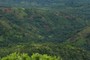 Fomer Chimp Habitat