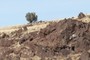 more and more old lava