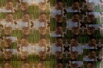 114564-210x140