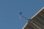 Wind Gauge
