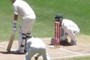 cricket