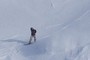 Snowboarder
