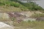 Las Cascadas Fm
