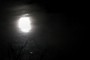 Blue Moon reflection