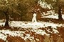Muñeco de nieve