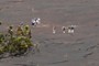 Hikers