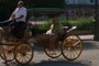 The Buggy