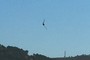 Swallow 