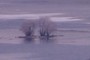 The Crannog