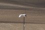 wind turbine