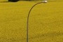 lamppost on yellow bottom