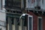 Seagull
