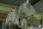 Bags of conservation