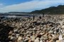 Cape of Good Hope