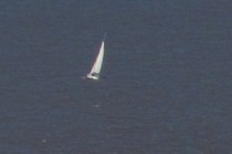 118837-210x140