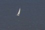 Sailing on the river