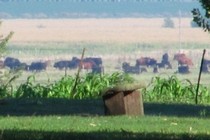 118886-210x140