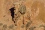 Mini hoodoos