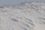 ski tracks