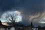 Storm Cradles Tree