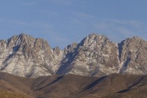 119335-210x140