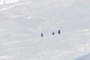 Looks like a group on pilgrimage