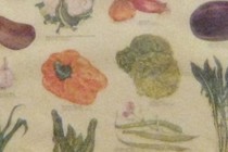 119673-210x140
