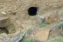 rabbit hole
