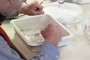 A pan full of Belgica larvae