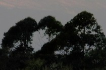 120591-210x140
