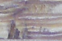 120641-210x140